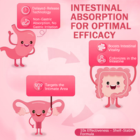Films buccaux probiotiques naturels de haute qualité pour le bien-être féminin, pour soutenir la santé intestinale, complément alimentaire quotidien naturel