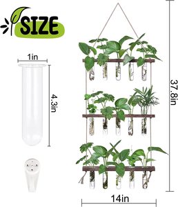 <span class=keywords><strong>Jardin</strong></span> Bureau Décoration AirPlants Cultiver terrarium mural suspendu pour plantes - Product Image 4