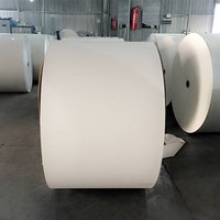 Papier d'emballage cadeau métallisé blanc enduit de cire, double biodégradable, 100 % recyclable, anti-frisottis, diverses largeurs, 180g-300g