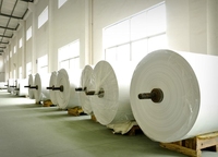 Rouleau de papier thermique en gros 55GSM 48GSM 60GSM pour systèmes de point de vente efficaces