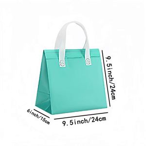 Leak-proof Disposable Non-Woven Waterproof Light Weight 3L Cooler Bag Insulated Food Storage Insulation Cooler - Product Image 2