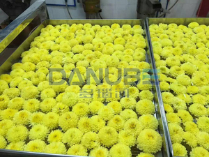 Automatic Industrial Flower Leaf Herb Drying Oven with Gear Core Components Competitive Price Food Processing Equipment - Product Image 5