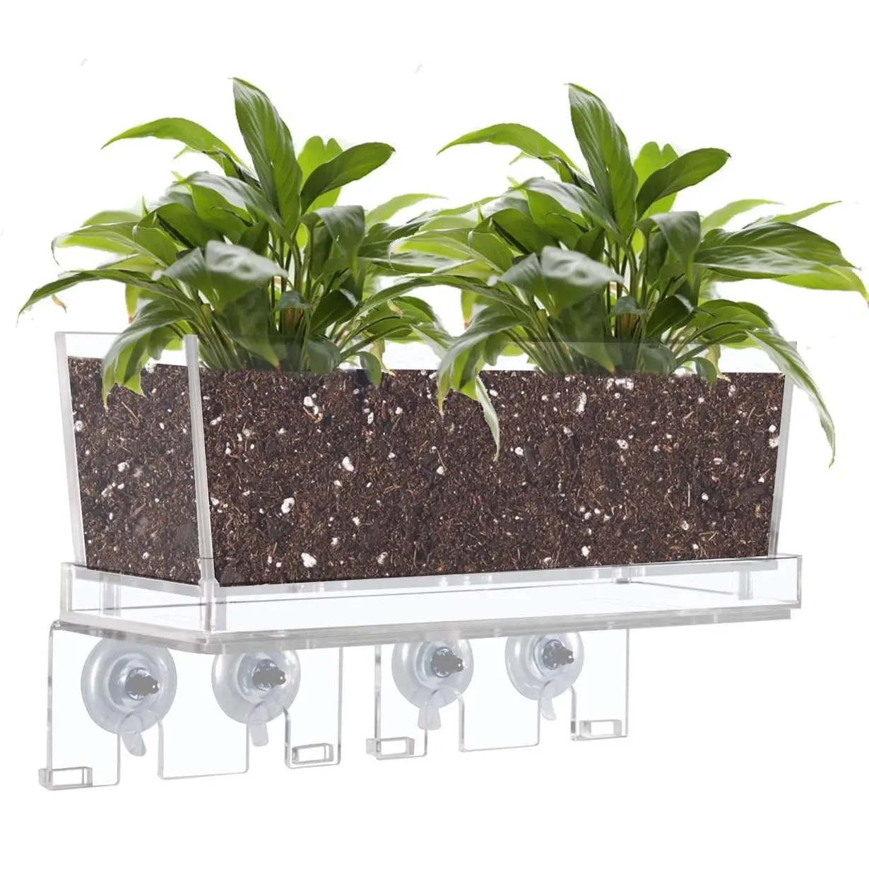 Acrylic Window Plant Box with Drain Tray And 4 Suction Cup Detachable Combination for Indoor Outdoor Home Garden Kitchen Planter
