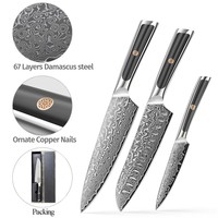 Couteau de chef japonais de haute qualité en acier Damas à 67 couches avec manche en acier inoxydable, adapté à la cuisine