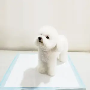 고품질 강아지 훈련 패드 방수 개 매트 재사용 가능한 애완 동물 패드 슈퍼 흡수성 오줌 패드