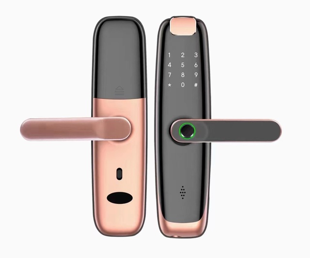 ILock-02 Inteligente Smart Fingerprint Lock Door Biometric Intelligent Electronic Fingerprint WiFi TTLock Door Lock