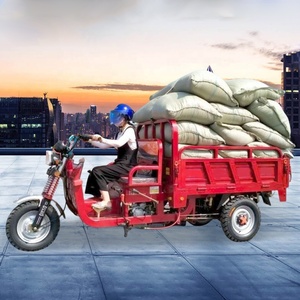 Motocicleta <span class=keywords><strong>Triciclo</strong></span> de Carga Pesada de 5 Plazas con Carrocería Abierta, Motor de Gasolina y Suspensión Exterior - Product Image 1