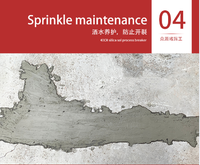 Zhongyuan Plugging King Mastic d'étanchéité Aqua Regia anti-fuite à séchage rapide pour salle de bain, balcon, cuisine