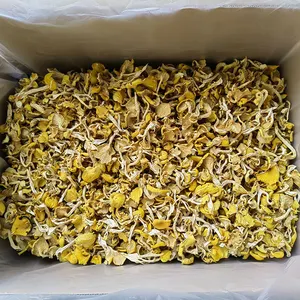 Wholesale Dried Chanterelle Mushroom