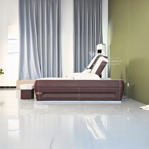 Longyu Massage Sofa <b>Electric</b> Lifting Recliner Adjustable Backrest For Adults And Elderly Waist Care - Product Image 3