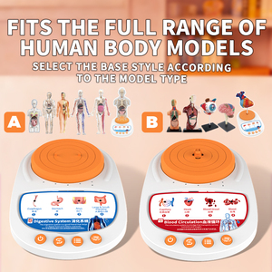 Base para el Modelo Humano de Exhibición que Explica <span class=keywords><strong>los</strong></span> Principios de la Educación Científica del Sonido con Pantalla Giratoria - Product Image 3