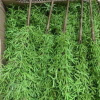 K-1002 45cm Faux Fougère Asperge Effet Naturel, Lot de Plantes Artificielles Vertes en Gros pour Décoration Mariage, Maison et Jardin