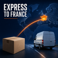 Service de fret FBA de Chine vers la France, transport express Amazon FBA, 4-7 jours, DDP porte-à-porte, numéro de suivi