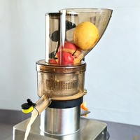 Machine à extraire le jus de fruits CE, modèle commercial 750-1200W, pour les magasins de jus, les restaurants et les usines de boissons
