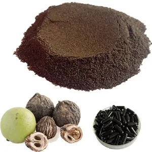 100% Bubuk Buah & Sayuran Alami dan Organik Ekspor Harga Grosir Minuman Ekstrak Tanaman Murni dari Kulit Kenari Hitam