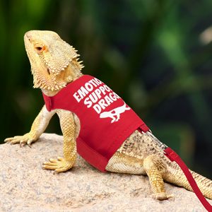 Conjunto de arnés y correa de dragón barbudo a prueba de Escape lagarto reptil arnés de Animal pequeño y correa cuerda <span class=keywords><strong>ropa</strong></span> de dragón barbudo - Product Image 5