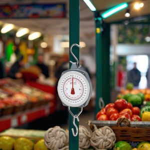 50 किलो 100 <span class=keywords><strong>200</strong></span> 300 किलोग्राम 660 एलबी मैकेनिकल हैंग स्केल सस्ते कारखाने - Product Image 1