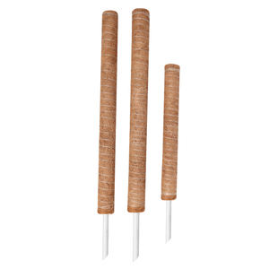 새로운 코코넛 코이어 섬유 식물 지지대 코코넛 팜 스틱 가정 및 정원용 - Product Image 5