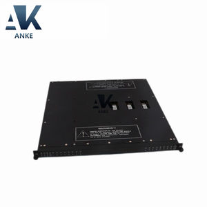 Módulo de salida digital 3607E Triconex - Product Image 1