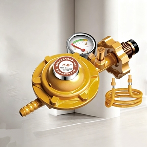 Valvola di Sicurezza OEM per Gas di Carbone, Regolatore di Pressione con <span class=keywords><strong>Set</strong></span> Completo e Morsetto per Tubi per Connessione a Cilindri e Tubazioni - Product Image 1