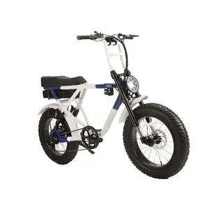 China Supplier Golden Supplier 52V 1000w electric dirt bike with battery for sales Good Quality Dual motor High power