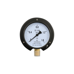Tianchuan Pressure <b>Gauge</b> Y100T 100mm Radial 1.6MPa Accuracy <b>Vacuum</b> Air Water Pressure Measurement - Product Image 3