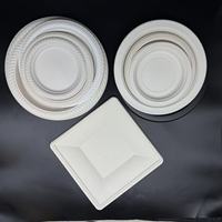 250 pièces assiettes jetables blanches biodégradables compostables canne à sucre en papier robuste pour 50 invités comprend des fourchettes à fécule de maïs pour