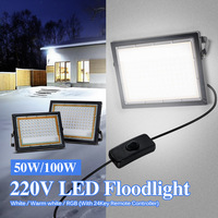 Projecteur LED AC 220V/DC12V, projecteur extérieur étanche IP65, 50W/100W, télécommande 24 touches, faisceau 120°, jardin