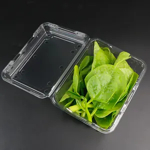 Lettuce Keeper For Fridge, Lettuce Crisper Box