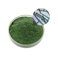 Fournisseur OEM ODM – Extrait de spiruline 90 % pur naturel, poudre d'algues vertes, extrait végétal pour soins de la peau professionnels en salon