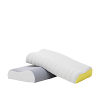 Oreiller Ergonomique en Mousse à Mémoire de Forme en Promotion, OEM ODM, pour Soulagement des Douleurs Cervicales, Soutien Orthopédique du Cou