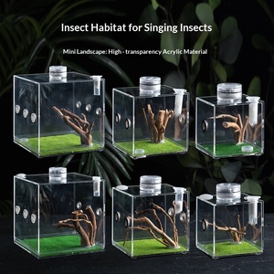 Caja de Cría de Acrílico para Insectos y Arañas con Lámpara LED y Orificios de Alimentación para Mantis, Gafanhotos, Reptiles e Insectos Cantores - Product Image 2