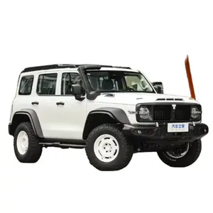 2024 Great Wall Tank 300 Automobile 4WD SUV 2.0T Off-road Hybrid Gasoline version Changcheng High speed 5 Seats SUV NEW Car