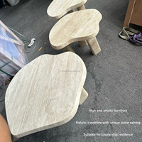 Table Basse en Travertin Naturel Forme Nuage Irrégulière pour Salon Résidentiel Wabi Sabi - Collection Project Supply