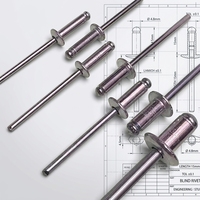 Rivets de bardage de haute qualité 2,4 mm 3 mm 3,2 mm 4 mm en aluminium à tête ronde peints noir, rivets aveugles norme DIN7337 Remaches