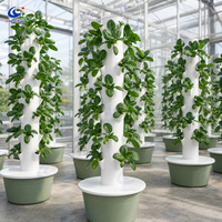 Tour hydroponique compacte avec positions de plantation, système de jardinage vertical d'intérieur pour les cultivateurs de fruits, légumes et herbes