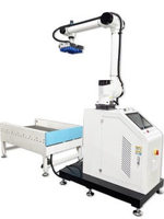 Robot de Paletización Colaborativo Sin Programación, Capacidad de Carga de 30 kg y 50 kg, Altura de Elevación Ajustable para Almacenamiento de Alimentos en Cajas de Cartón