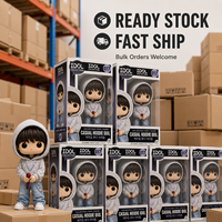Figurine d'idole Kpop personnalisée, sweat à capuche décontracté, figurine vinyle de collection avec microphone, coffret cadeau pour fans, présentoir de vente au détail, marchandises en gros