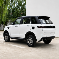 Véhicule électrique intelligent de luxe, 4 places, batterie au lithium, voiture de tourisme, écran multimédia, conduite à gauche, EV, berline