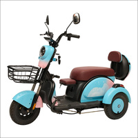 Convient au trafic urbain, tricycle, véhicule électrique, tricycle à conducteur et à chargement, phares LED 48V, plusieurs couleurs au choix