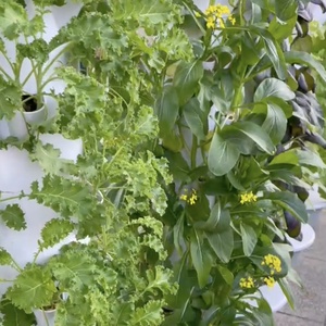 10 lớp tháp 2025 thiết kế thẳng đứng thông minh chi phí thấp nhà kính tháp dọc vườn thủy canh phát triển hệ thống tưới nước tự động - Product Image 4