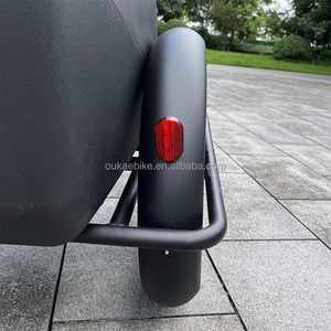 Scooter Elettrico a Tre Ruote di Alta Qualità con Sidecar, Bici a Pedalata Assistita per Trasportare Animali, Bici da Città con Freno a Disco, Moto Elettrica da Fuoristrada - Product Image 4