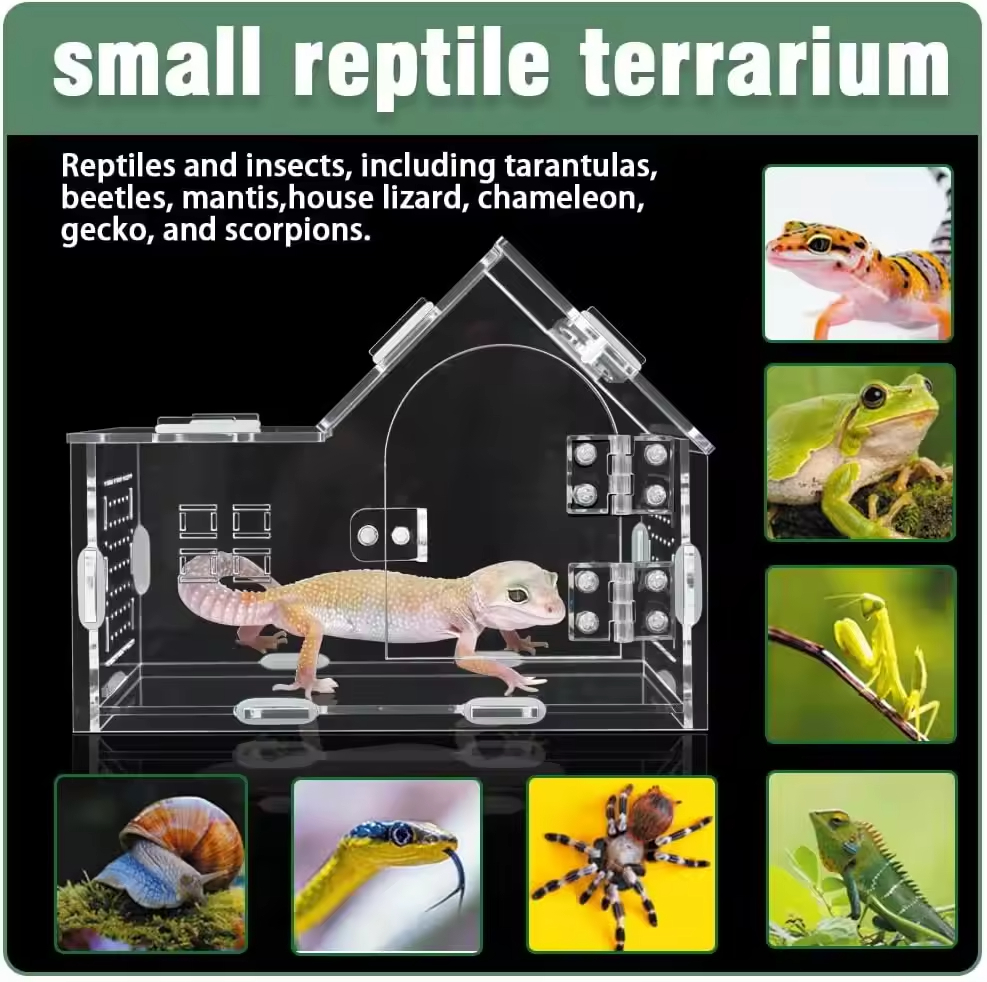 lizard enclosure popup