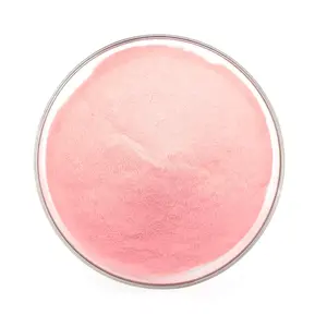 Factory Supply Natural Pure Strawberry Extract Fruit Freeze Dried Powder