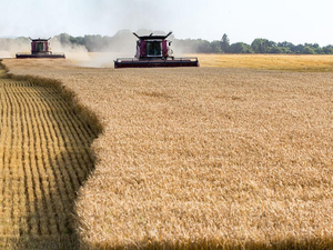 GF28 Self-Propelled <strong>Combine</strong> Harvester - Product Image 5