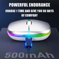 Souris sans fil OEM BT RGB rechargeable ordinateur de bureau souris ergonomique silencieuse 2.4G 1600DPI double mode pour ordinateur portable PC
