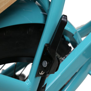 Vélo électrique à pneus gras TXED de style rétro naturel 48V E Nature Tour F pour femmes, poignées chauffantes, moteur arrière 250W, moto électrique - Product Image 4