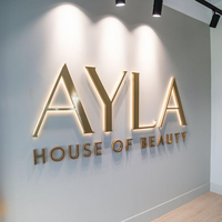 Enseigne LED personnalisée, logo LED éclairé, lettre 3D en métal brossé, enseigne commerciale, enseigne extérieure en acrylique, enseigne de salon