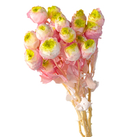 Konservierte Blumen Zweifarbige Farbverlauf-Rosen mit 50-60cm Stiel zur Dekoration