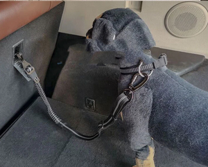 Sabuk pengaman anjing 3 in 1, Multi fungsi dapat disesuaikan hewan peliharaan mobil sabuk pengaman kendaraan Harness untuk anjing kecil sedang besar - Product Image 6